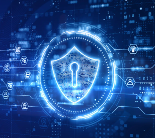 Digital Protection Services